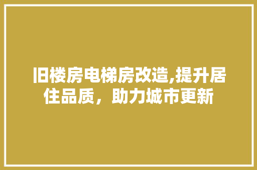 旧楼房电梯房改造,提升居住品质，助力城市更新