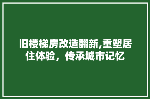 旧楼梯房改造翻新,重塑居住体验，传承城市记忆 汽车维修