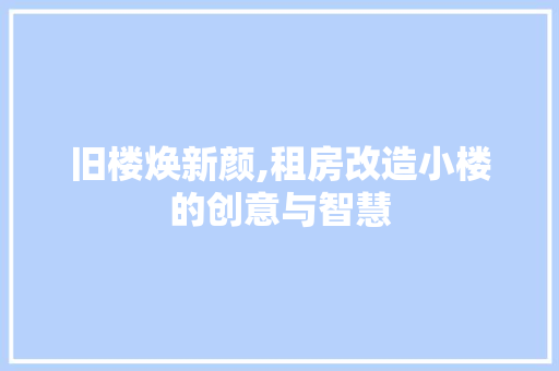 旧楼焕新颜,租房改造小楼的创意与智慧 厨房维修