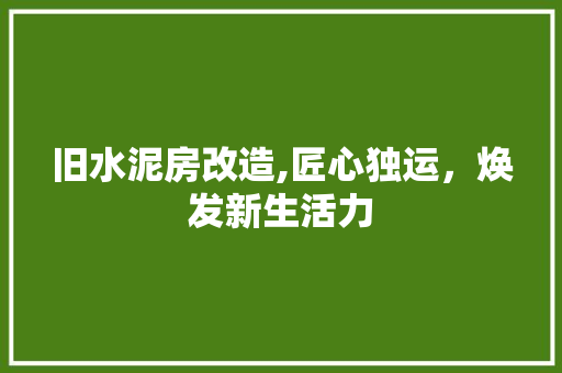 旧水泥房改造,匠心独运，焕发新生活力