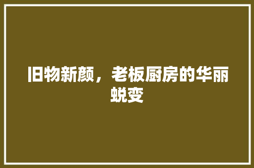 旧物新颜，老板厨房的华丽蜕变 厨房维修