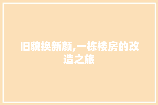 旧貌换新颜,一栋楼房的改造之旅 墙体维修