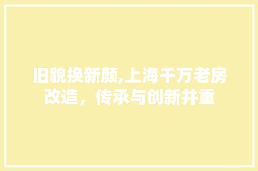 旧貌换新颜,上海千万老房改造，传承与创新并重 厨房维修
