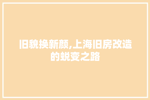 旧貌换新颜,上海旧房改造的蜕变之路 墙体维修