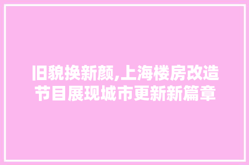 旧貌换新颜,上海楼房改造节目展现城市更新新篇章