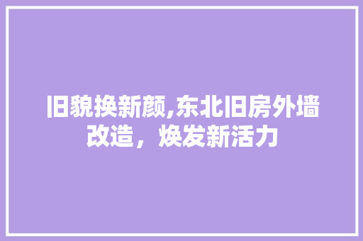 旧貌换新颜,东北旧房外墙改造，焕发新活力
