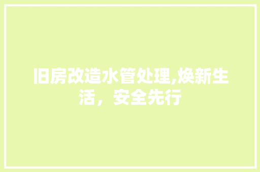 旧房改造水管处理,焕新生活，安全先行