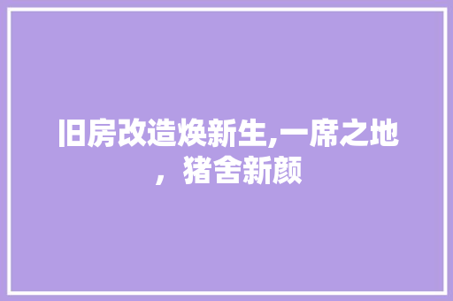 旧房改造焕新生,一席之地，猪舍新颜 厨房维修