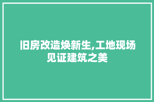 旧房改造焕新生,工地现场见证建筑之美 汽车维修