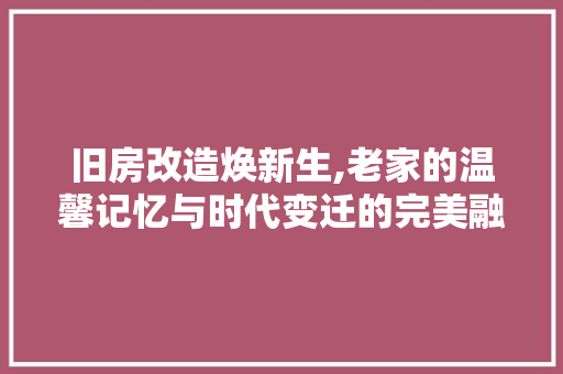 旧房改造焕新生,老家的温馨记忆与时代变迁的完美融合 汽车维修