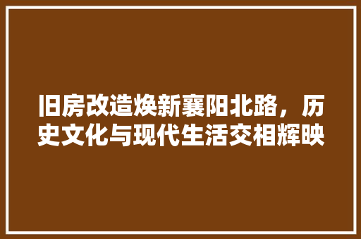 旧房改造焕新襄阳北路，历史文化与现代生活交相辉映 墙体维修