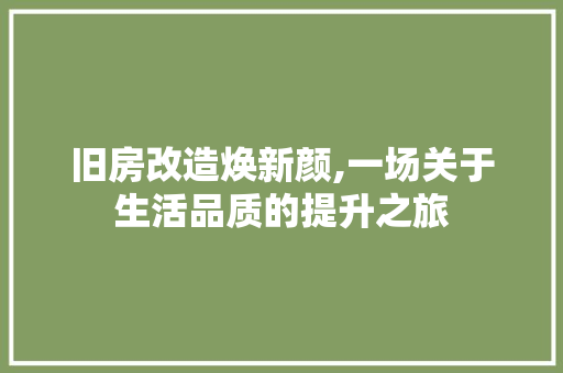 旧房改造焕新颜,一场关于生活品质的提升之旅 汽车维修