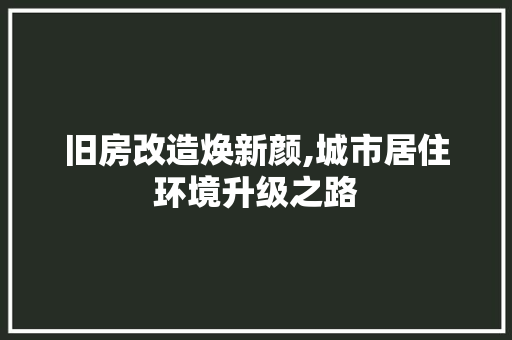 旧房改造焕新颜,城市居住环境升级之路 厨房维修