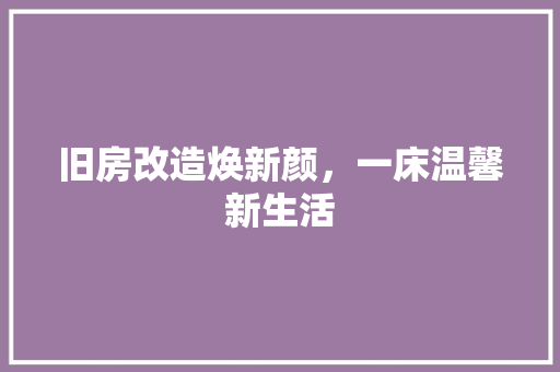 旧房改造焕新颜，一床温馨新生活 厨房维修