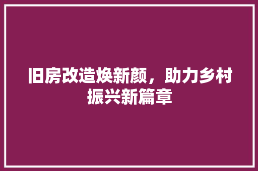 旧房改造焕新颜，助力乡村振兴新篇章 汽车维修