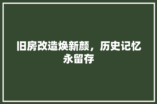 旧房改造焕新颜，历史记忆永留存 汽车维修
