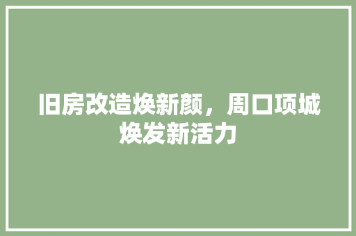 旧房改造焕新颜，周口项城焕发新活力 墙体维修