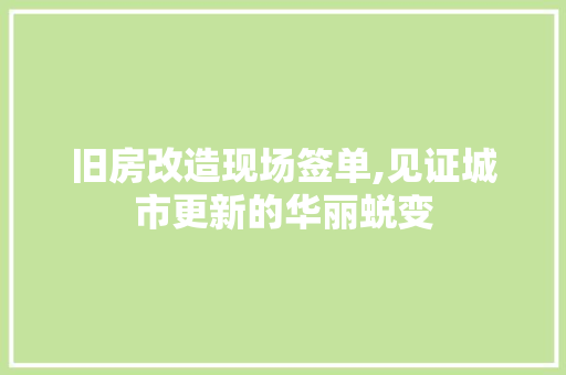 旧房改造现场签单,见证城市更新的华丽蜕变 墙体维修