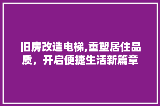 旧房改造电梯,重塑居住品质，开启便捷生活新篇章 厨房维修