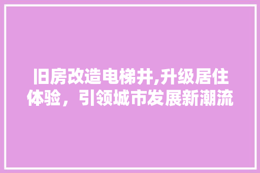 旧房改造电梯井,升级居住体验，引领城市发展新潮流 综合便民