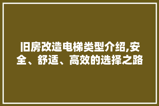 旧房改造电梯类型介绍,安全、舒适、高效的选择之路 汽车维修