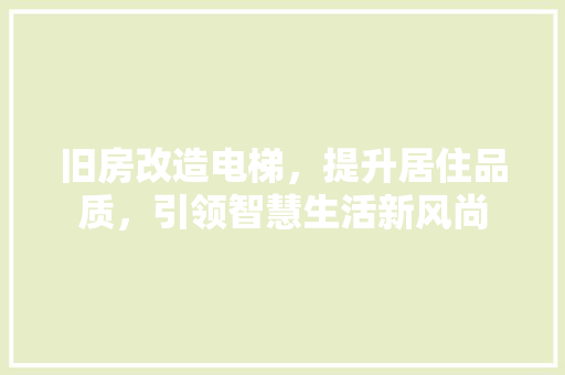 旧房改造电梯，提升居住品质，引领智慧生活新风尚 厨房维修