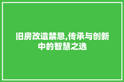 旧房改造禁忌,传承与创新中的智慧之选 厨房维修