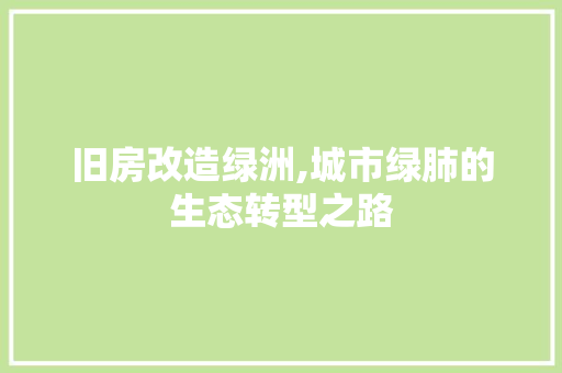 旧房改造绿洲,城市绿肺的生态转型之路