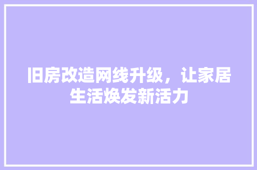 旧房改造网线升级，让家居生活焕发新活力 厨房维修