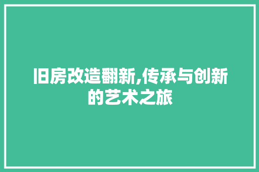 旧房改造翻新,传承与创新的艺术之旅 汽车维修