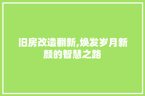 旧房改造翻新,焕发岁月新颜的智慧之路 厨房维修