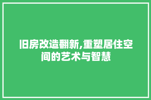 旧房改造翻新,重塑居住空间的艺术与智慧 墙体维修