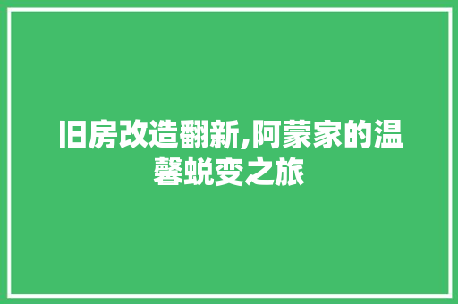 旧房改造翻新,阿蒙家的温馨蜕变之旅