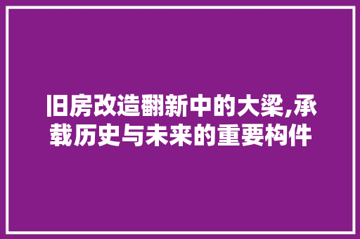 旧房改造翻新中的大梁,承载历史与未来的重要构件