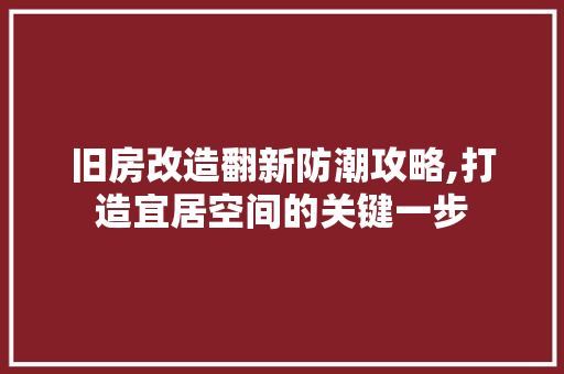 旧房改造翻新防潮攻略,打造宜居空间的关键一步 墙体维修