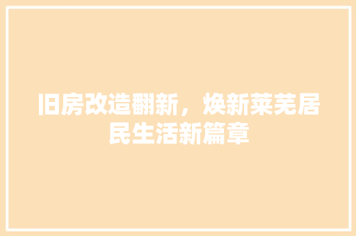 旧房改造翻新，焕新莱芜居民生活新篇章 综合便民