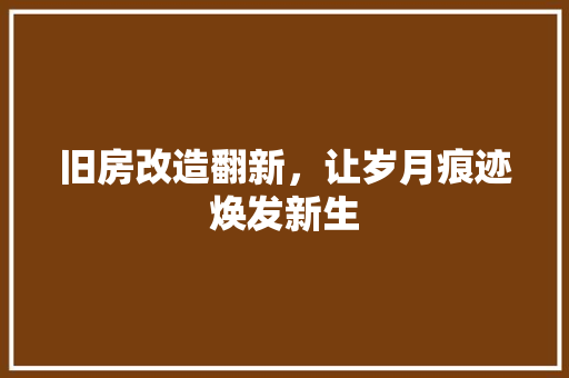 旧房改造翻新，让岁月痕迹焕发新生 综合便民