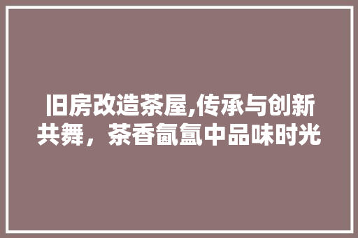 旧房改造茶屋,传承与创新共舞，茶香氤氲中品味时光流转 综合便民