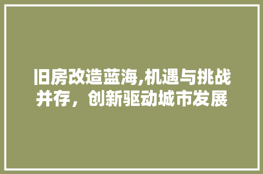 旧房改造蓝海,机遇与挑战并存，创新驱动城市发展 墙体维修