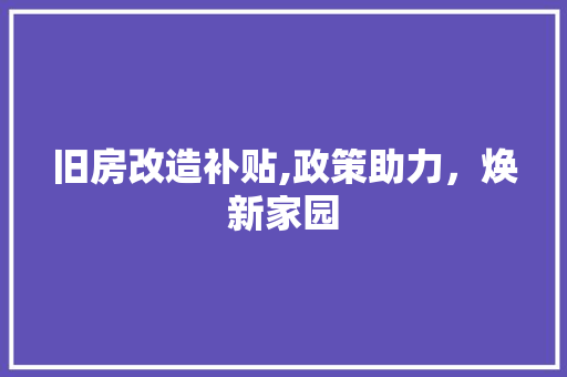 旧房改造补贴,政策助力，焕新家园 墙体维修