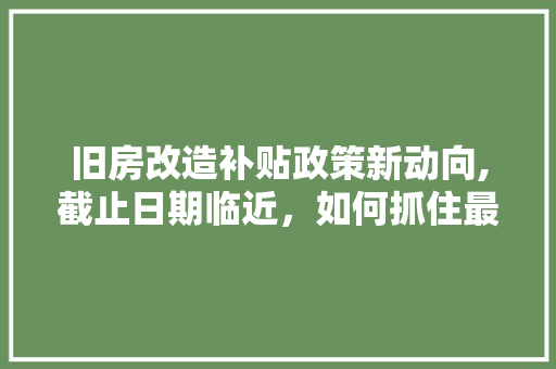 旧房改造补贴政策新动向,截止日期临近，如何抓住最后机遇 汽车维修