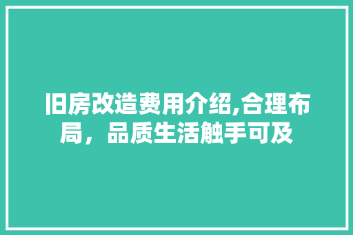 旧房改造费用介绍,合理布局，品质生活触手可及 厨房维修