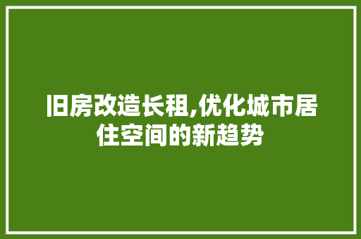 旧房改造长租,优化城市居住空间的新趋势 厨房维修