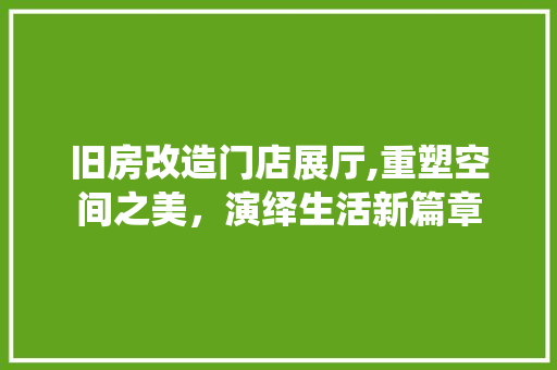 旧房改造门店展厅,重塑空间之美，演绎生活新篇章 家电维修