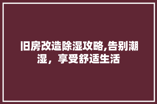 旧房改造除湿攻略,告别潮湿，享受舒适生活 厨房维修