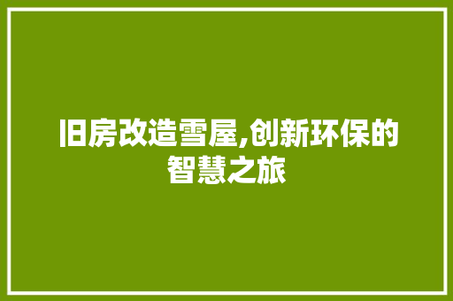 旧房改造雪屋,创新环保的智慧之旅 厨房维修