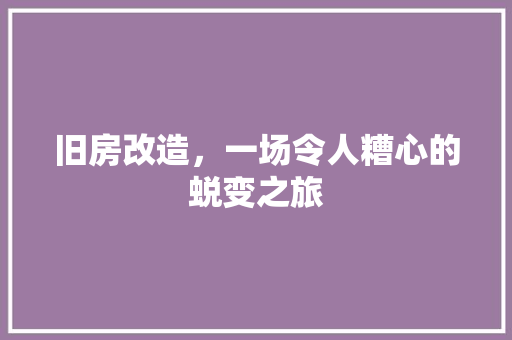 旧房改造，一场令人糟心的蜕变之旅 厨房维修