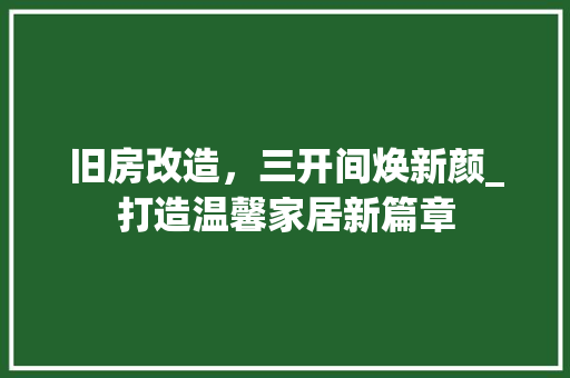 旧房改造，三开间焕新颜_打造温馨家居新篇章 厨房维修