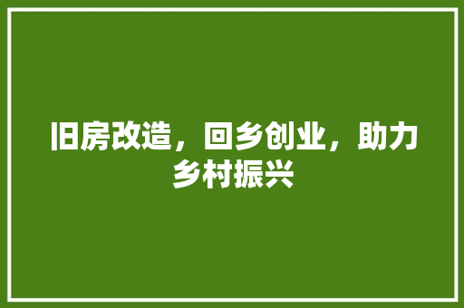 旧房改造，回乡创业，助力乡村振兴