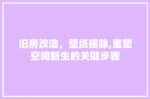 旧房改造，壁纸揭除,重塑空间新生的关键步骤